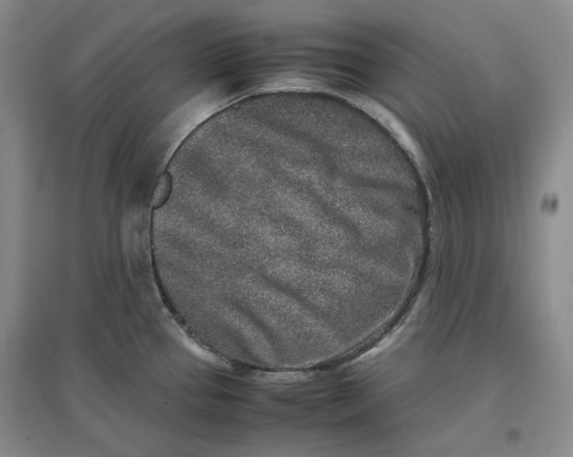 X0000096671337200802261443