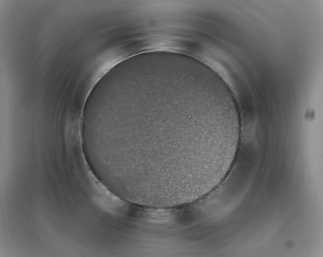 X0000096671338200802261443