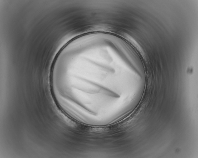 X0000096671339200802261443