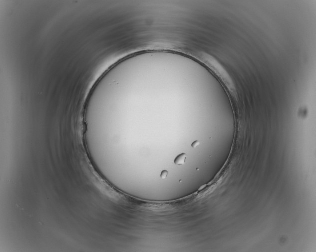 X0000096671340200802261443