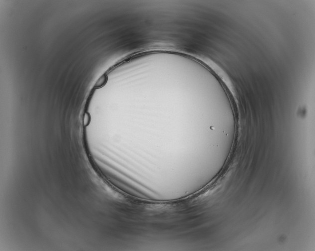 X0000096671341200802261443