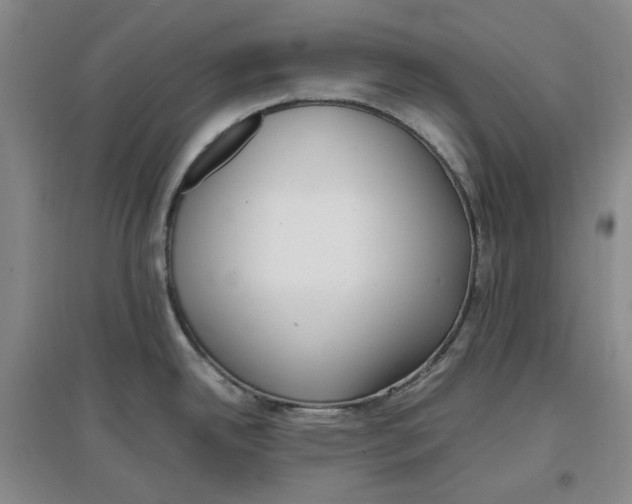 X0000096671342200802261443