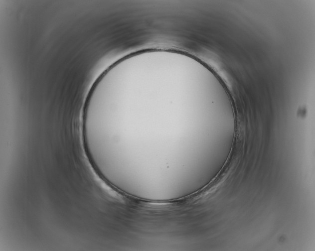 X0000096671343200802261443