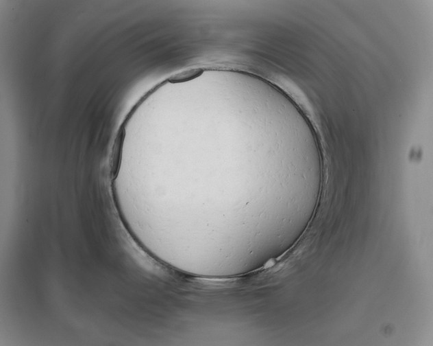 X0000096671344200802261443