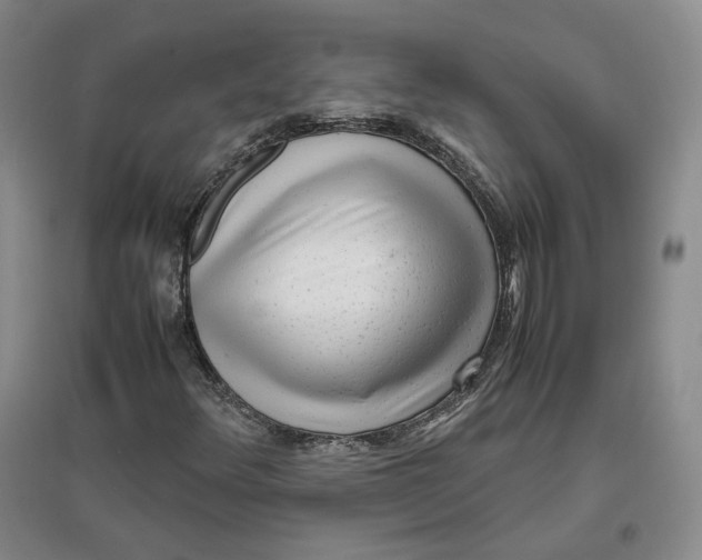 X0000096671348200802261442