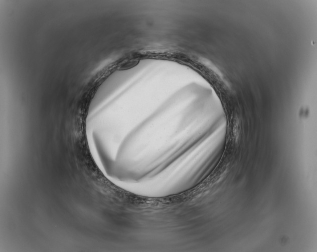 X0000096671350200802261442