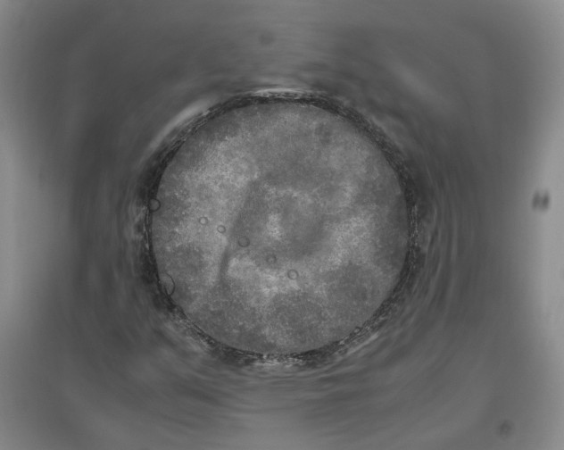 X0000096671351200802261442