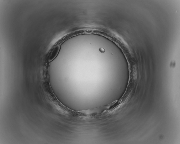 X0000096671352200802261442