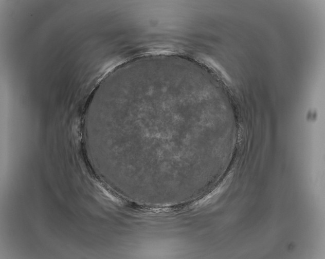 X0000096671353200802261442