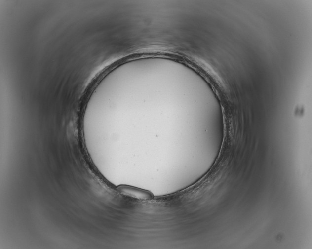 X0000096671356200802261442