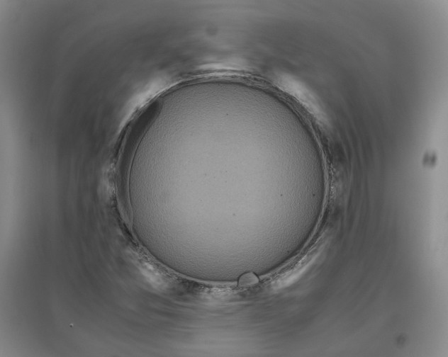 X0000096671357200802261442