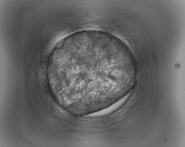 X0000096671359200802261442