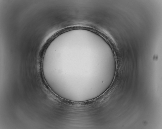 X0000096671360200802261442