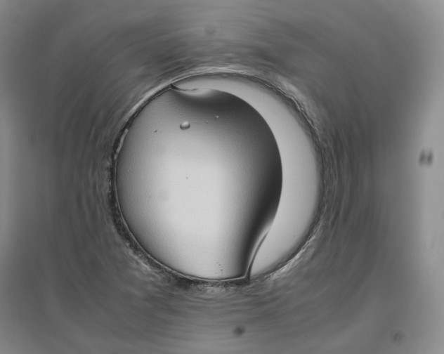 X0000096671361200802261442