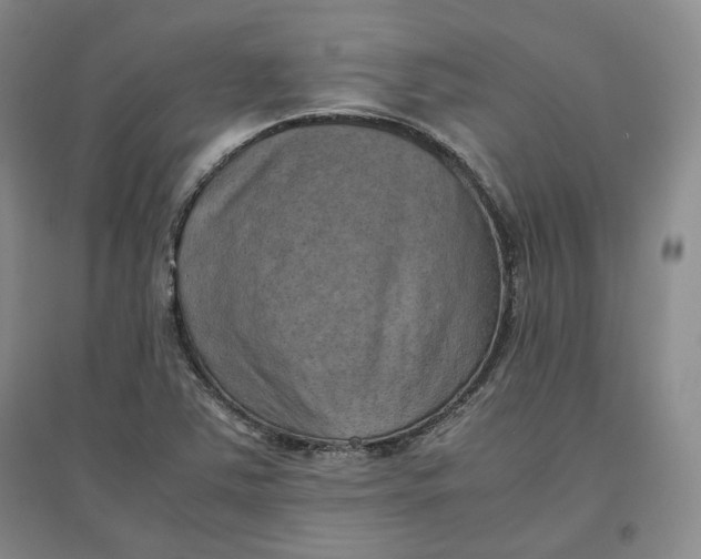 X0000096671363200802261442