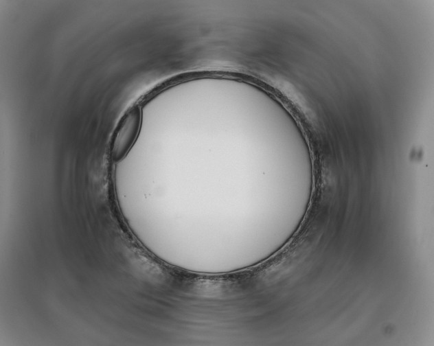 X0000096671364200802261442