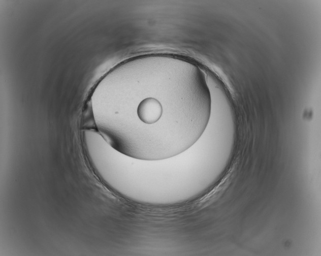 X0000096671365200802261442