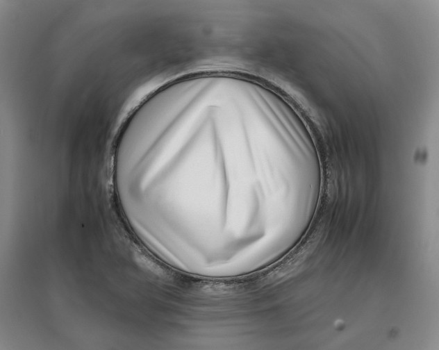 X0000096671366200802261442