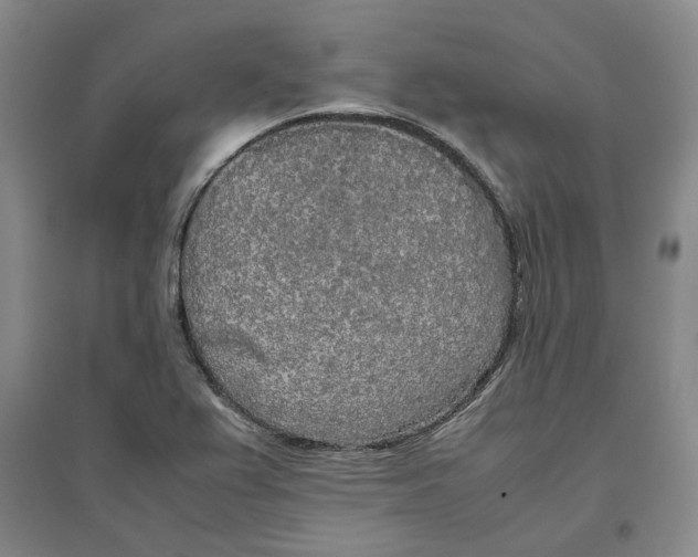 X0000096671367200802261442