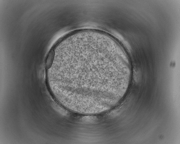 X0000096671368200802261442