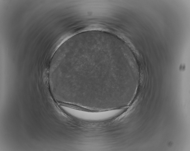 X0000096671369200802261442