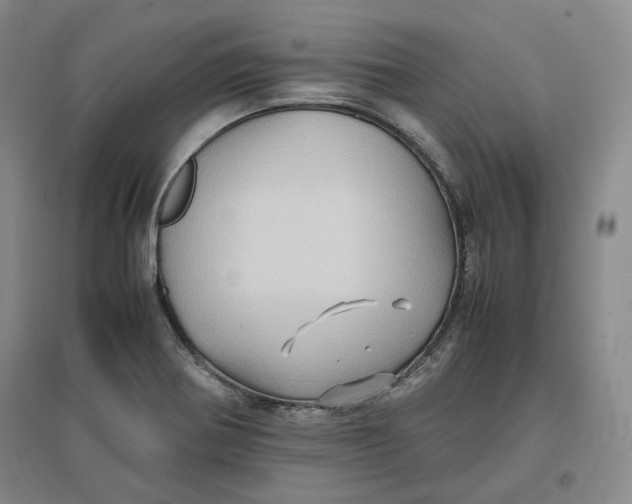 X0000096671370200802261442