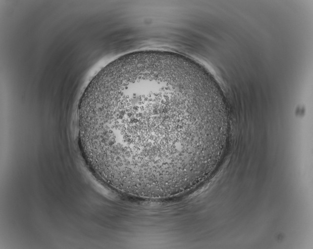 X0000096671371200802261442