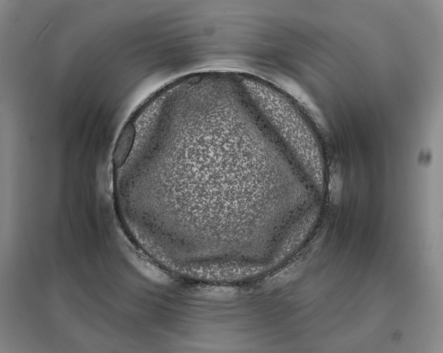 X0000096671372200802261442