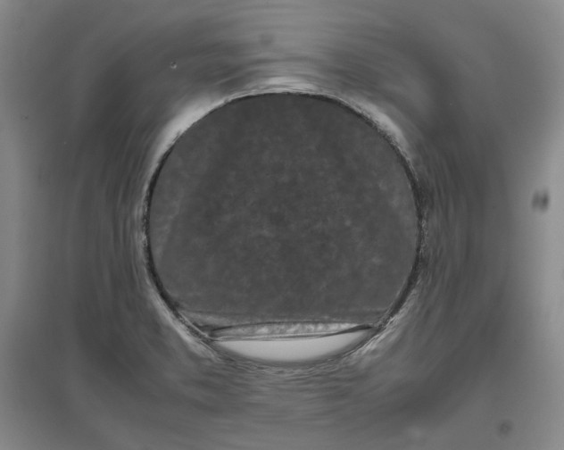 X0000096671373200802261442