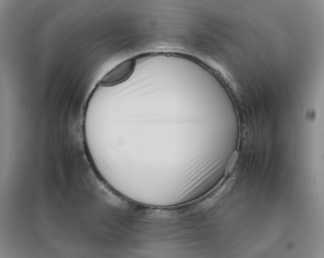 X0000096671374200802261442