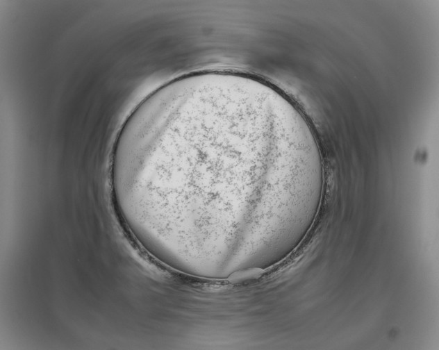 X0000096671375200802261442