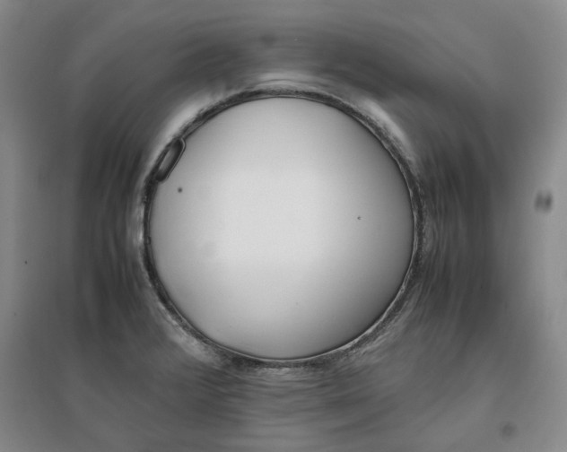 X0000096671376200802261442