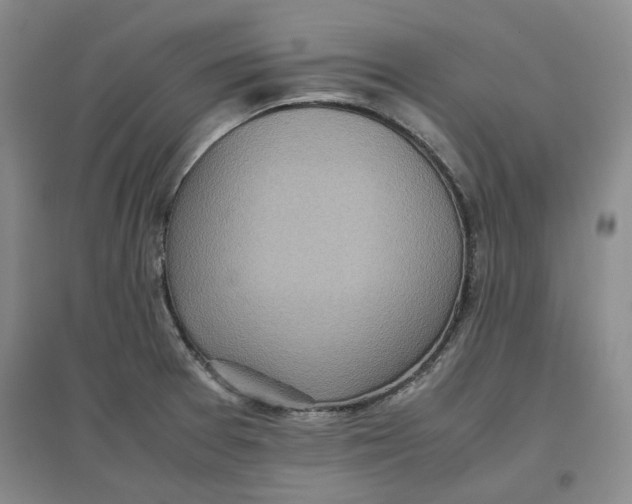 X0000096671377200802261442