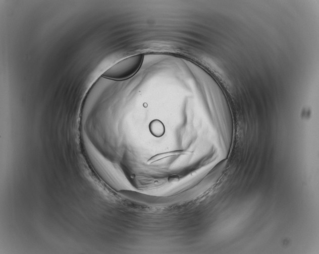 X0000096671378200802261442