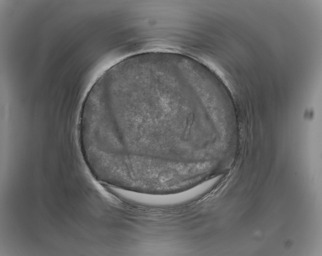 X0000096671379200802261442