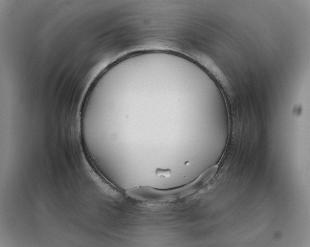 X0000096671380200802261442