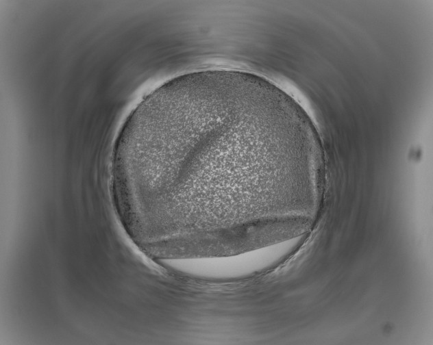 X0000096671381200802261442