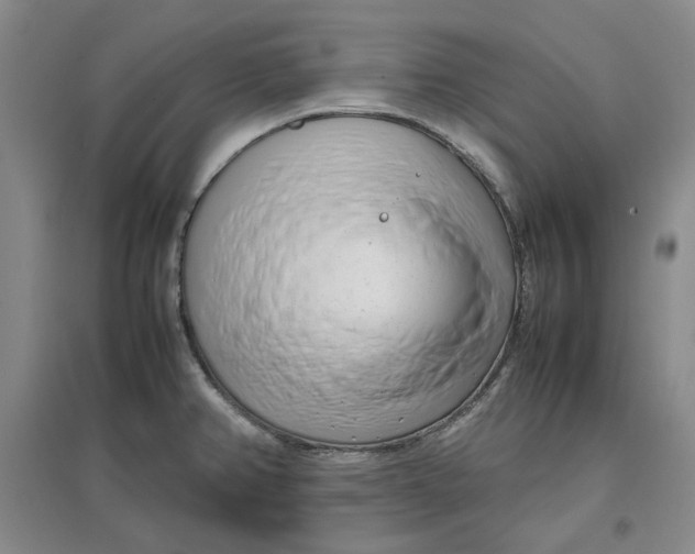 X0000096671382200802261442