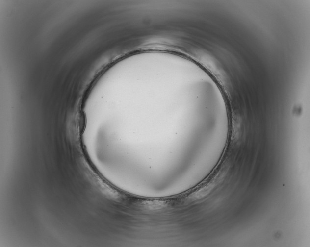 X0000096671384200802261442