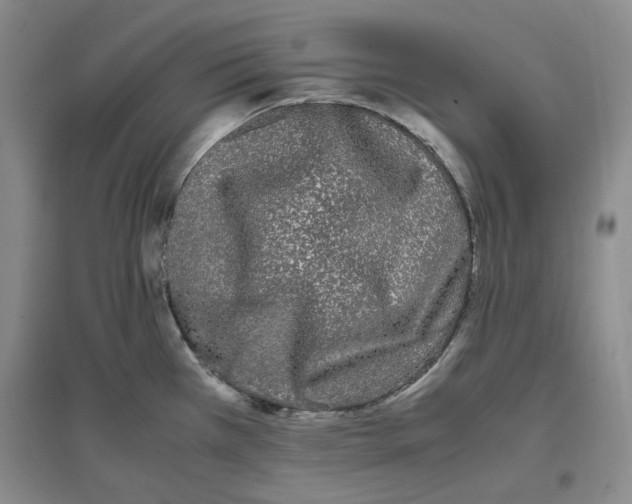 X0000096671385200802261442