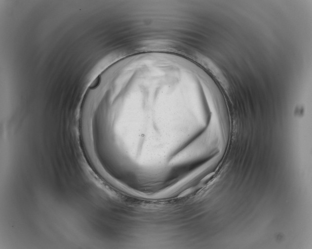 X0000096671386200802261442