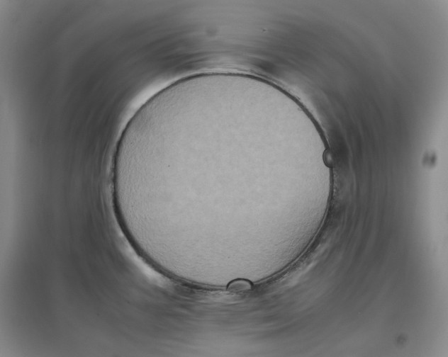 X0000096671387200802261442