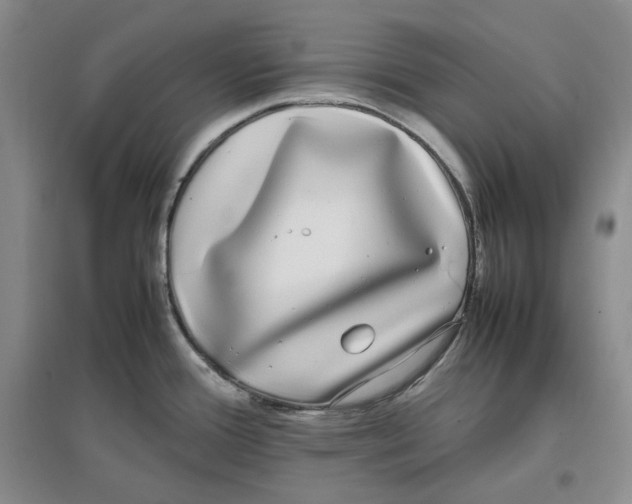 X0000096671388200802261442