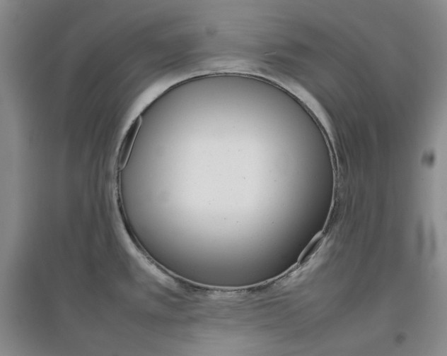 X0000096671389200802261442