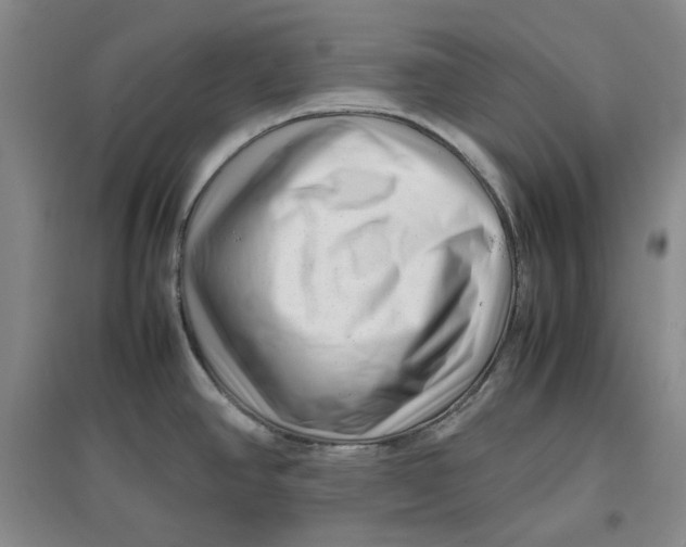 X0000096671390200802261441