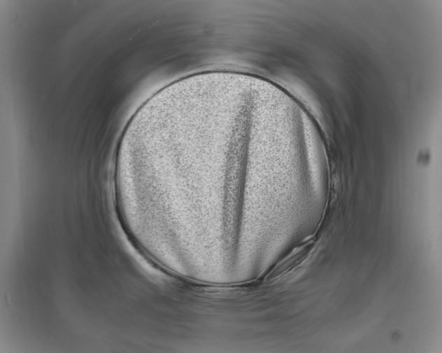 X0000096671391200802261441