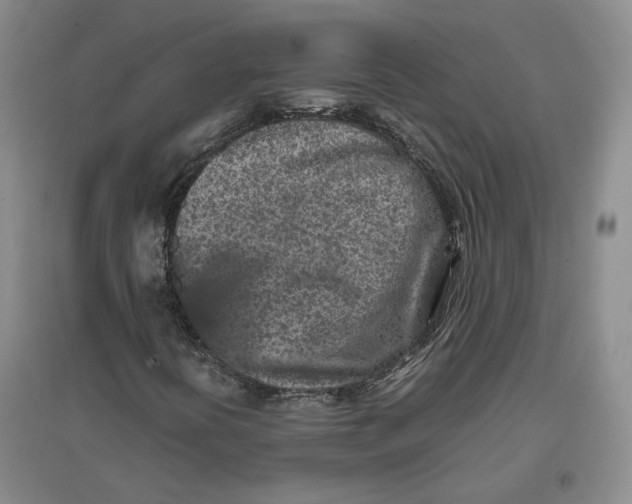 X0000096671394200802261441