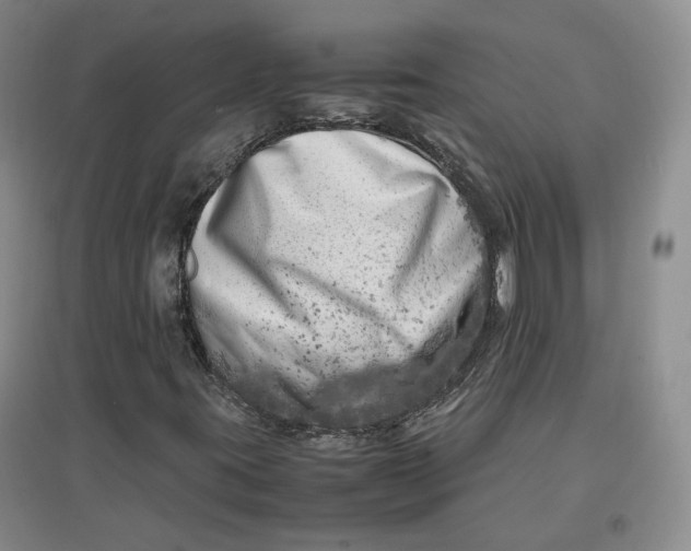 X0000096671395200802261441