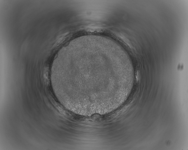 X0000096671396200802261441