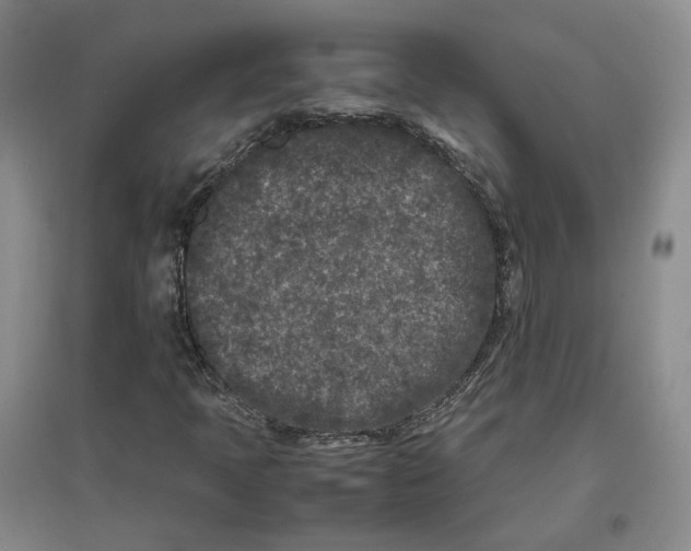 X0000096671397200802261441